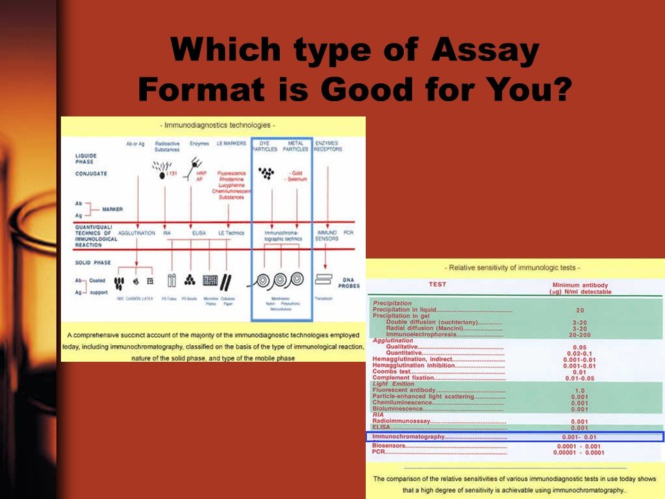 which-type